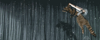 bcbd51ce032d64e9656e74295e0ee1d4