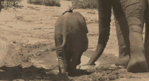 Джуниор PHP-шник
