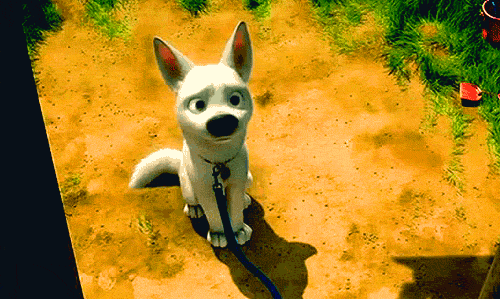 1381972764_331675333