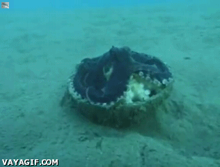 1390819241_658920236