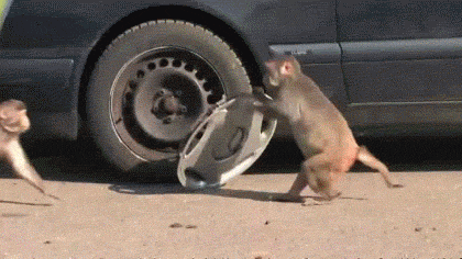 anigif_enhanced-26687-1403728248-13