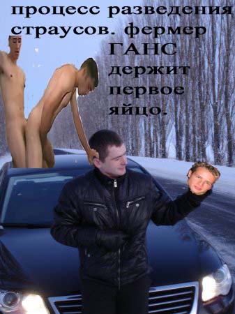 яйцо страуса
