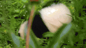 _yapfiles.ru
