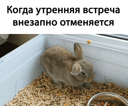 gif_1824de5ec698131afd521720acd1c44d