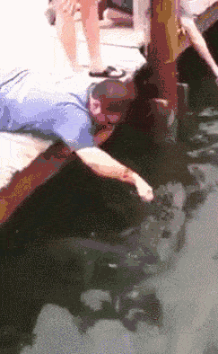 gifs_16 (2)