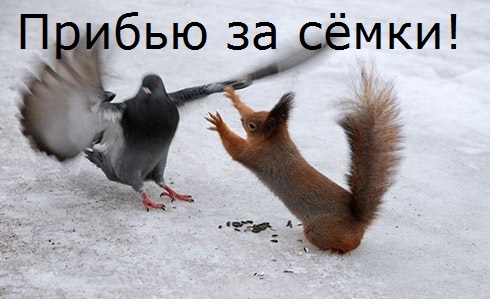 семки