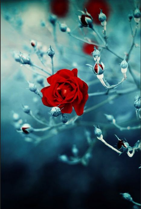 2014-08-11 01-26-09 Скриншот экрана