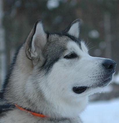 Такой молодой и юный октябрь впереди