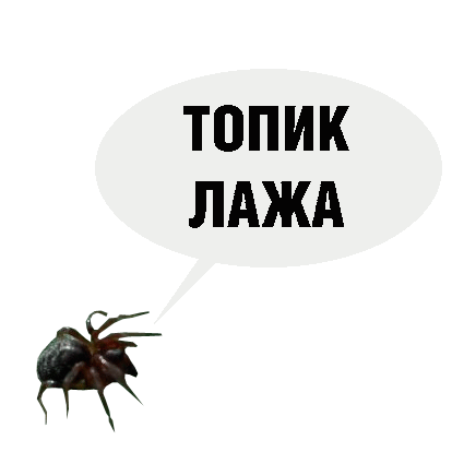 66