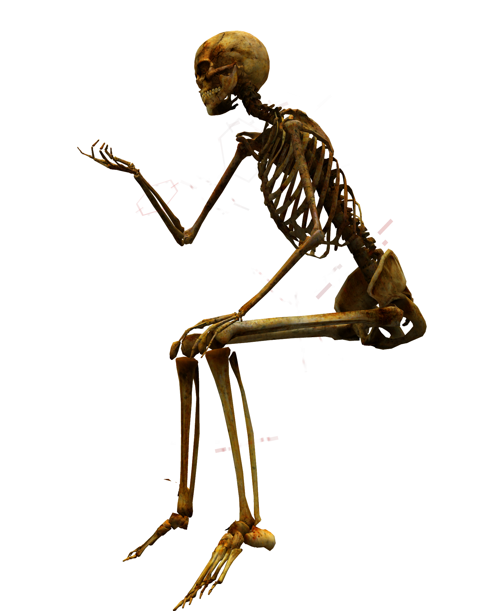 Skeleton png. Скелет. Скелет человека. Скелет на белом фоне. Сидячий скелет.