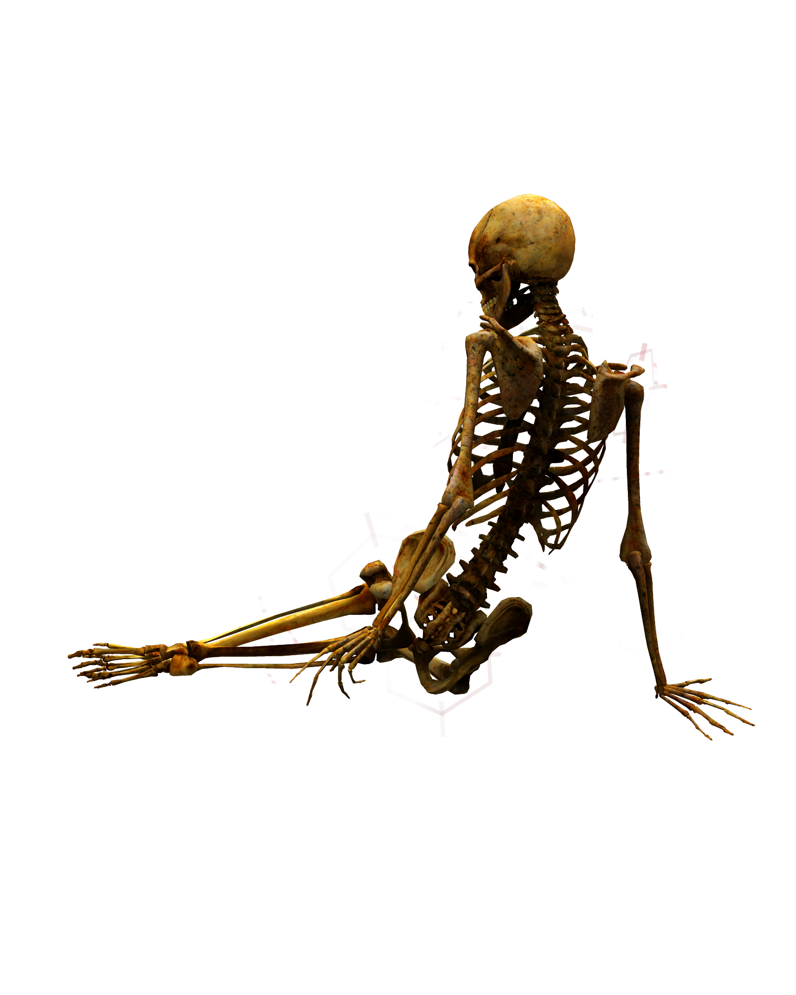 Bone art. Скелет. Скелет сидит. Скелет на прозрачном фоне. Скелет лежит.