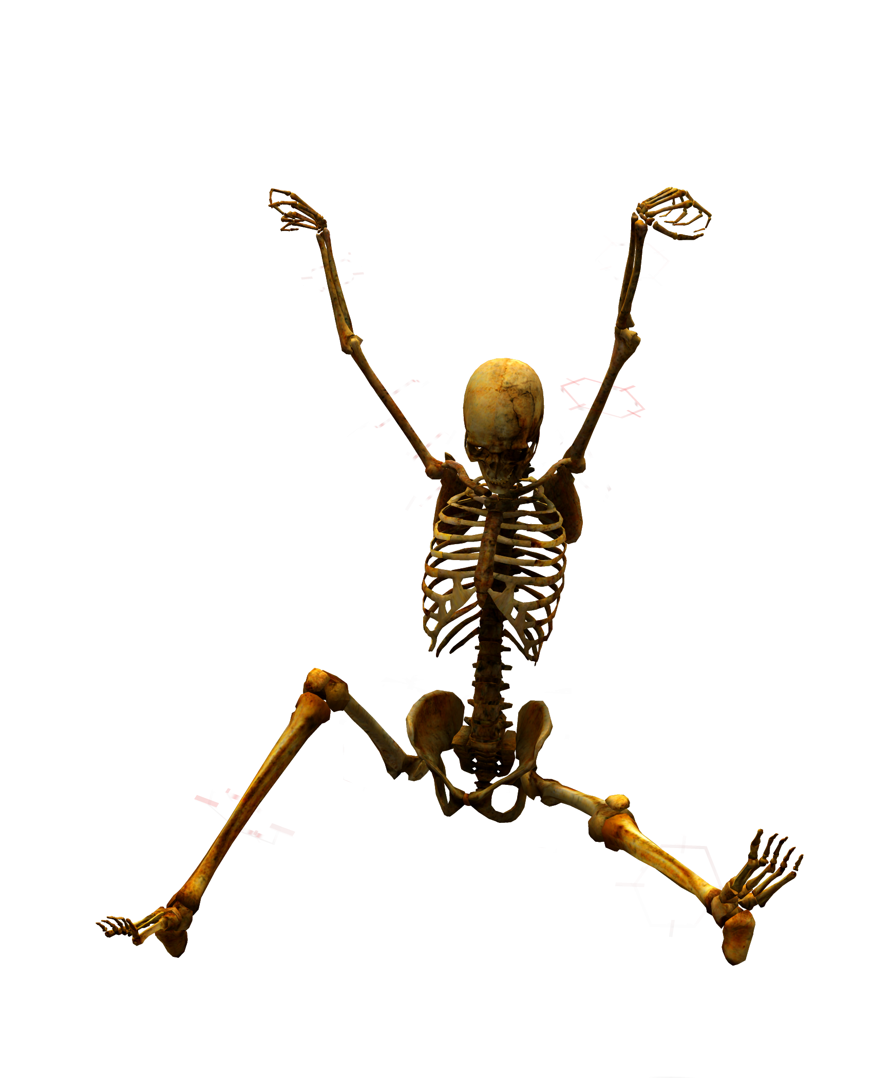 Skeleton png. Скелет. Скелет на белом фоне. Скелет лежит.