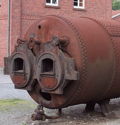 -гусеница-живность-В-1367472