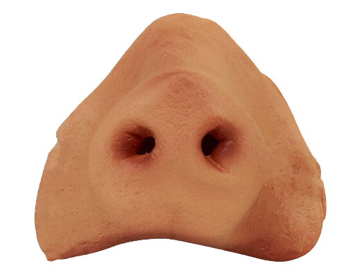 Pig s Nose Transparent png