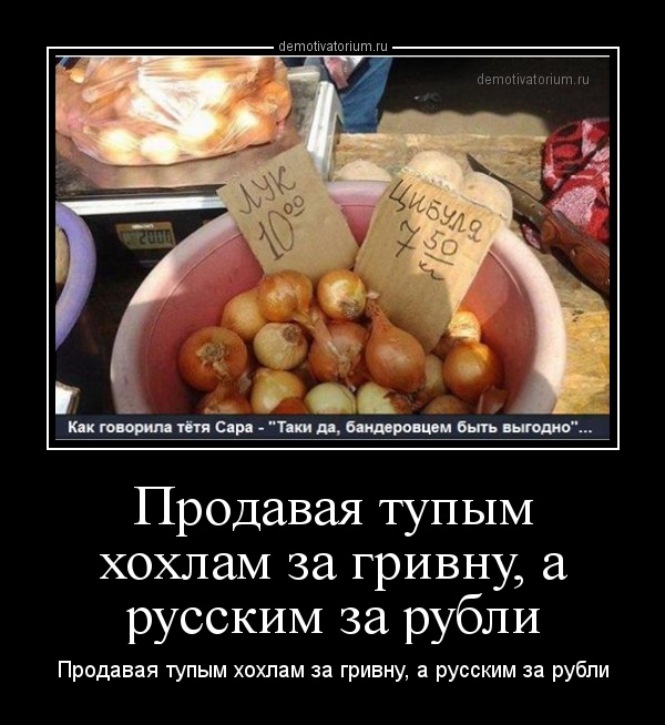 dm_temp_image_3090914152500605878