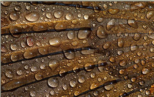 2014-09-09 00-52-14 Скриншот экрана