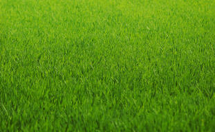 2014-09-09 21-36-34 Скриншот экрана