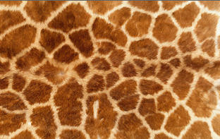 2014-09-09 21-02-15 Скриншот экрана