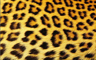 2014-09-09 21-02-50 Скриншот экрана