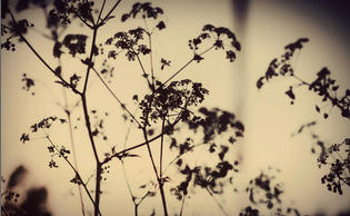 2014-09-09 21-07-40 Скриншот экрана