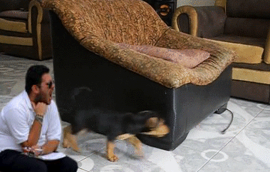 gifs_20