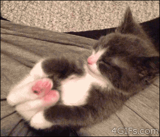 Котёнок 2