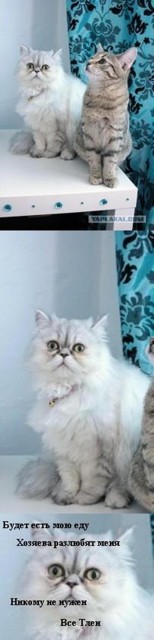 кототлен