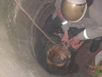 news_main_335_134923120666