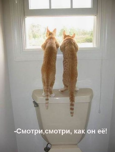 .pngапр