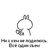 1130708095950