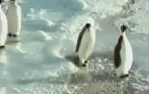 1372269942_240650150