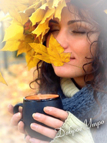 0_ba6f0_e8862179_L