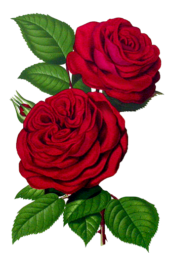 0d1626c589964fa4836455c7c049a41f