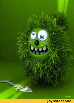 D0B3D0B8D184D0BAD0B8D183D0B6D0B0D181D18BD0BAD0BED182D18DD0BFD0B5D181D0BED187D0BDD0B8D186D0B0528611