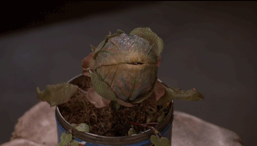 tumblr_mdk56zMAG31qcoqpk