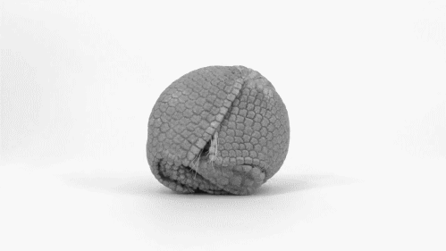 377cf23ec290cd1e0ce75deab34