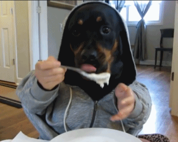 gifs_01