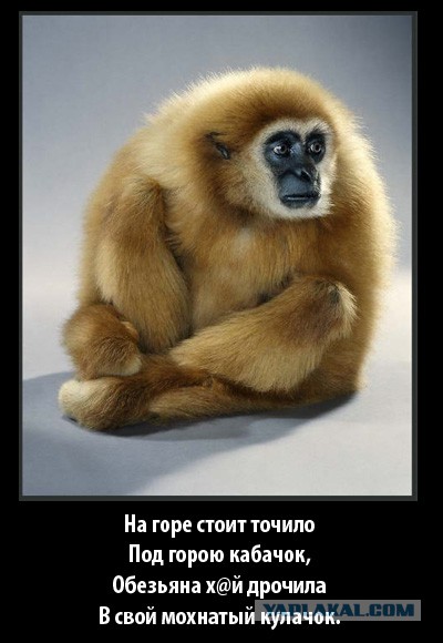 Точило
