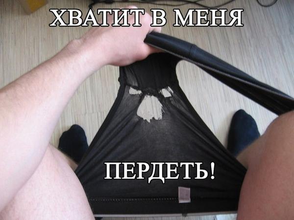 LvQYhoPd7Xs