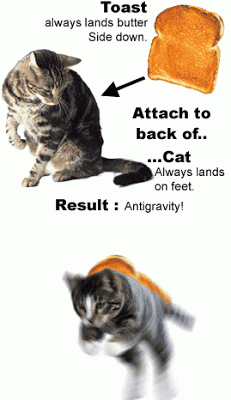 antigravitycat