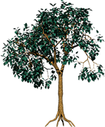 0_3ad5c_307ff0b2_XXXL_yapfiles.ru