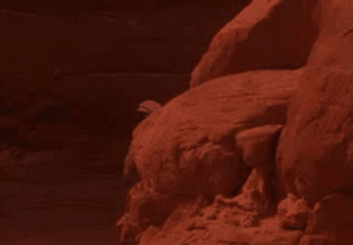 gif_55df2f40c0274b74199ff361e7569af7