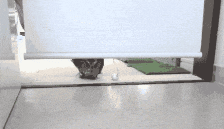 62ed68889ded9cdb8c8e95acd986482d