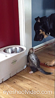 1415535173_693153787