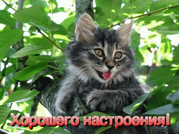 хорошего настроения