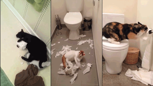 f_56224