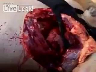 Сердечко, 18+.