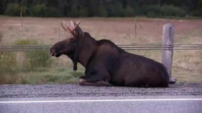 эвтаназипам-ретард