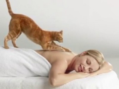 Кот-массажист (Light Massage Cat)