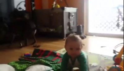 Dog poop ruins baby video to dad